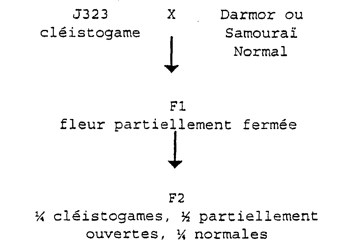 Figure 00070001
