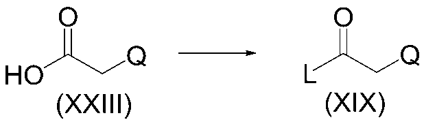 Figure JPOXMLDOC01-appb-C000024