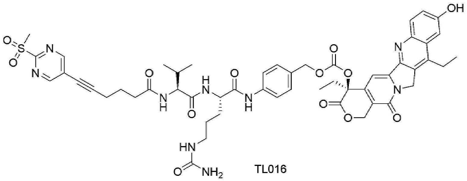 Figure pct01156