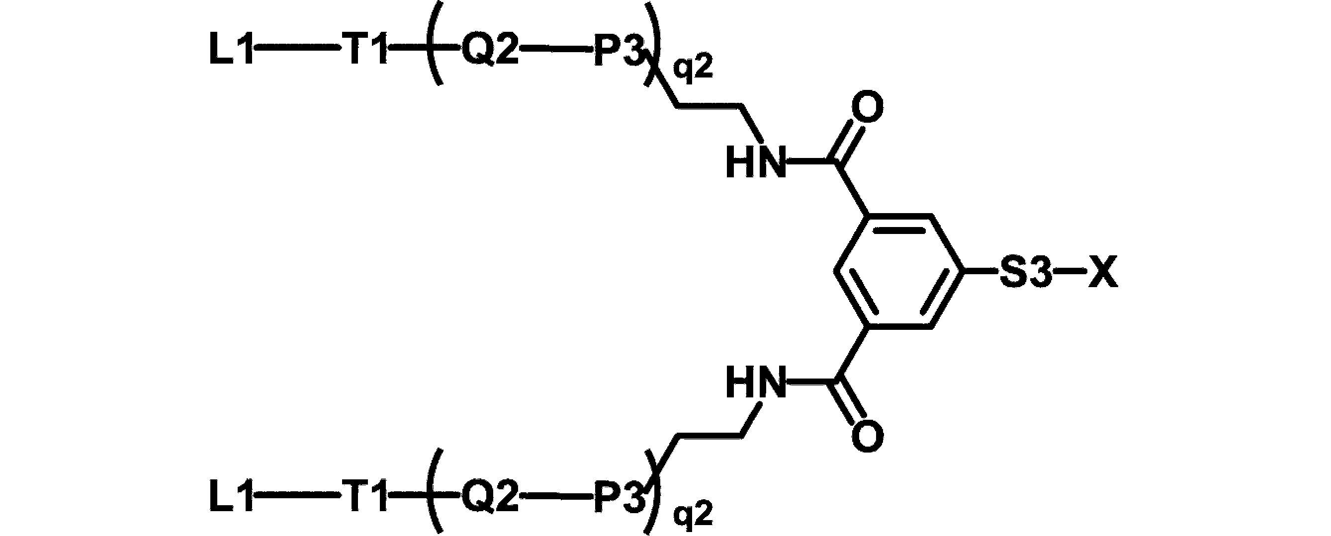 Figure JPOXMLDOC01-appb-C000063