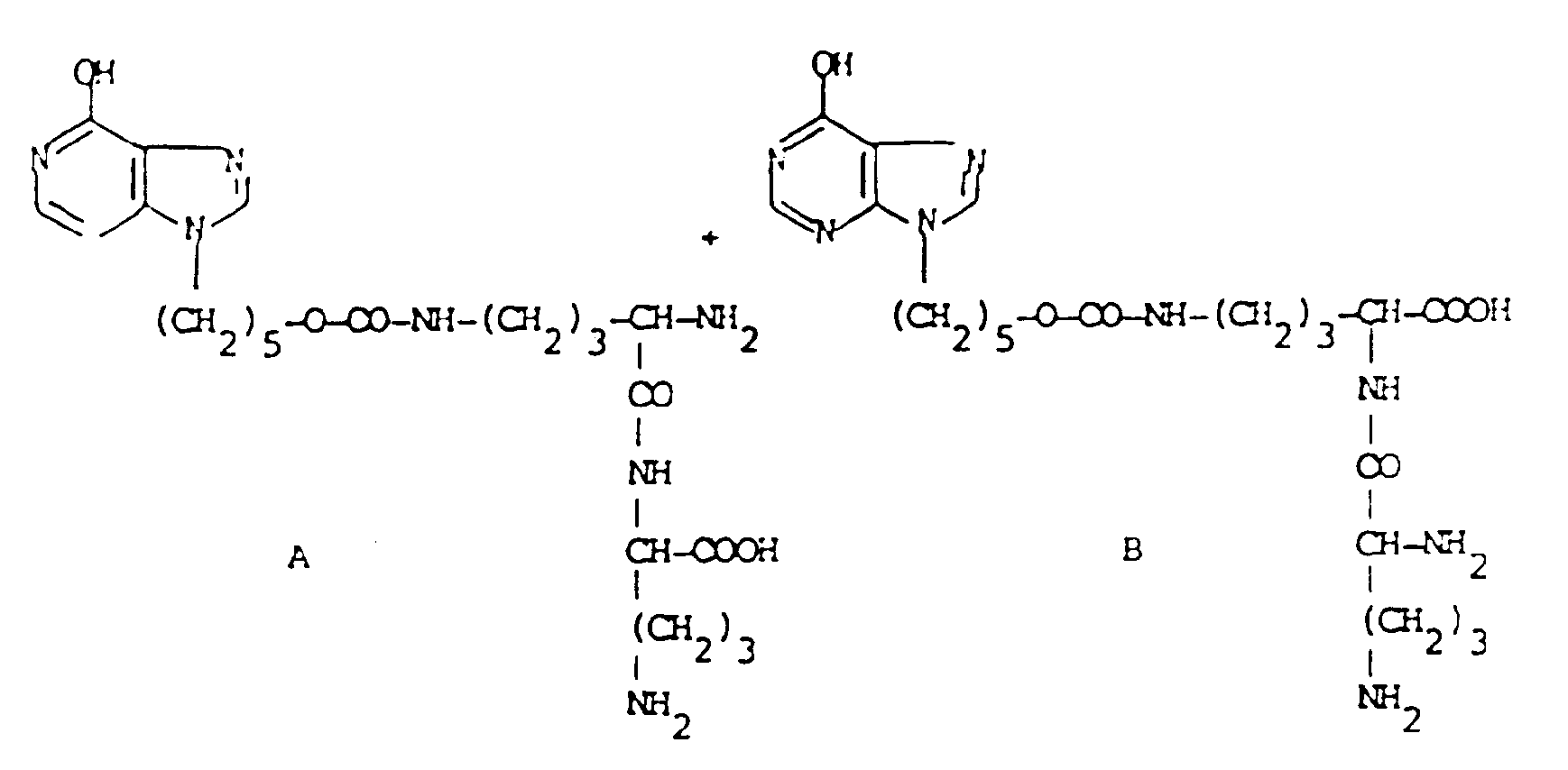 Figure imgb0010