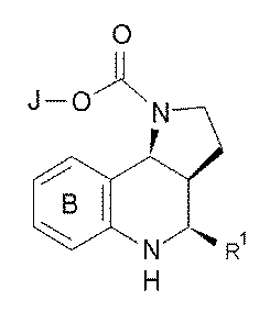 Figure JPOXMLDOC01-appb-C000024