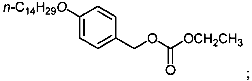 Figure imgb0205
