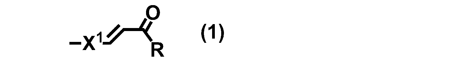 Figure JPOXMLDOC01-appb-C000013