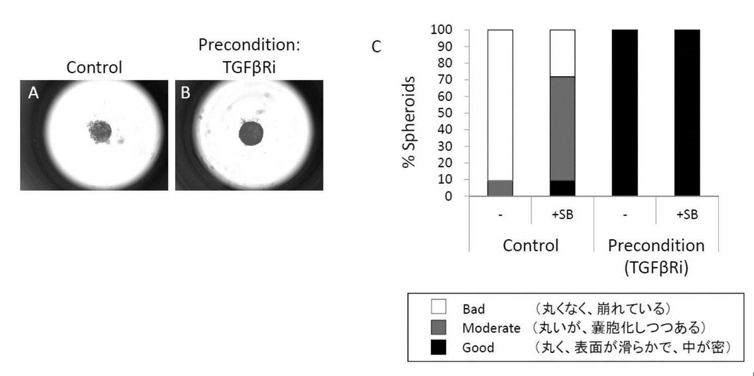 Wo2016063985a1 Production Method For Nerve Tissue Google Patents