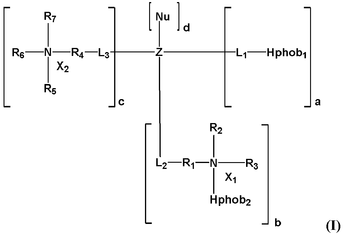 Figure imgb0001