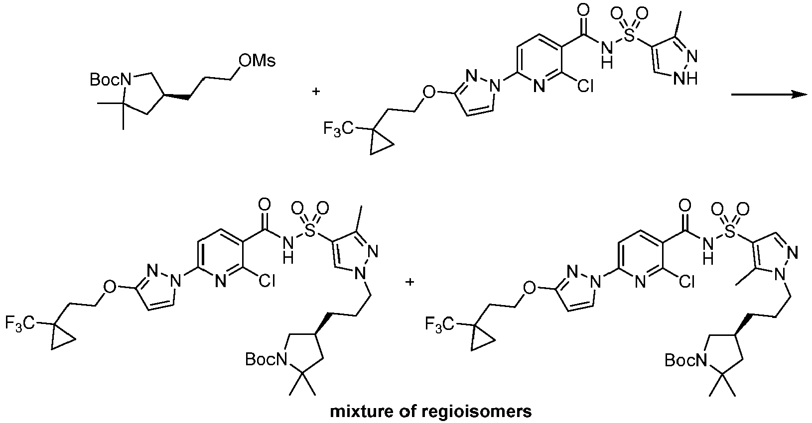 Figure imgb1308