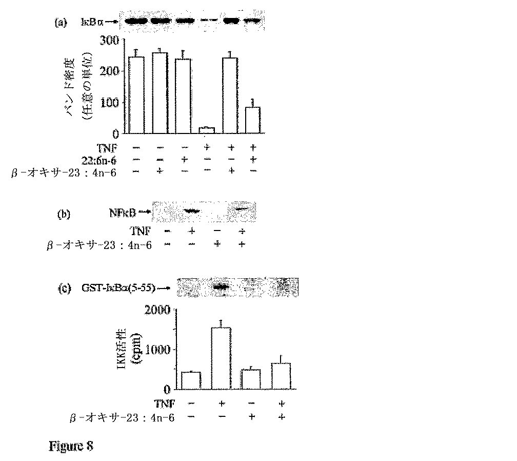 JP2007522118A - 治療用分子および担体分子 - Google Patents