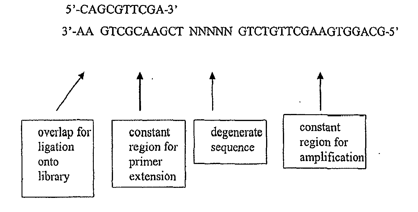 Figure imgb0022