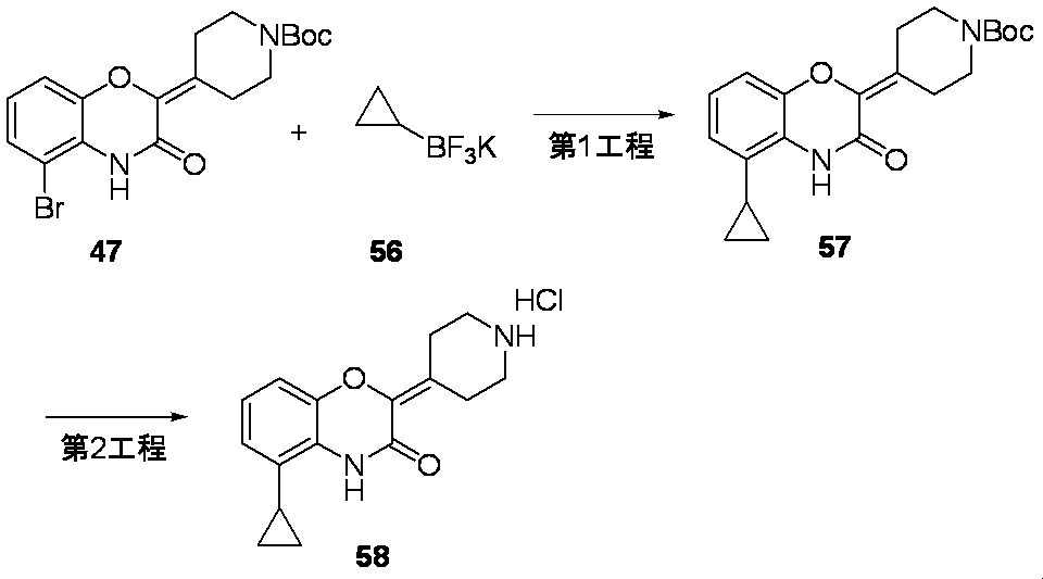 Figure JPOXMLDOC01-appb-C000118