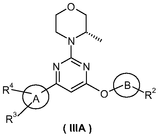 Figure imgf000007_0002