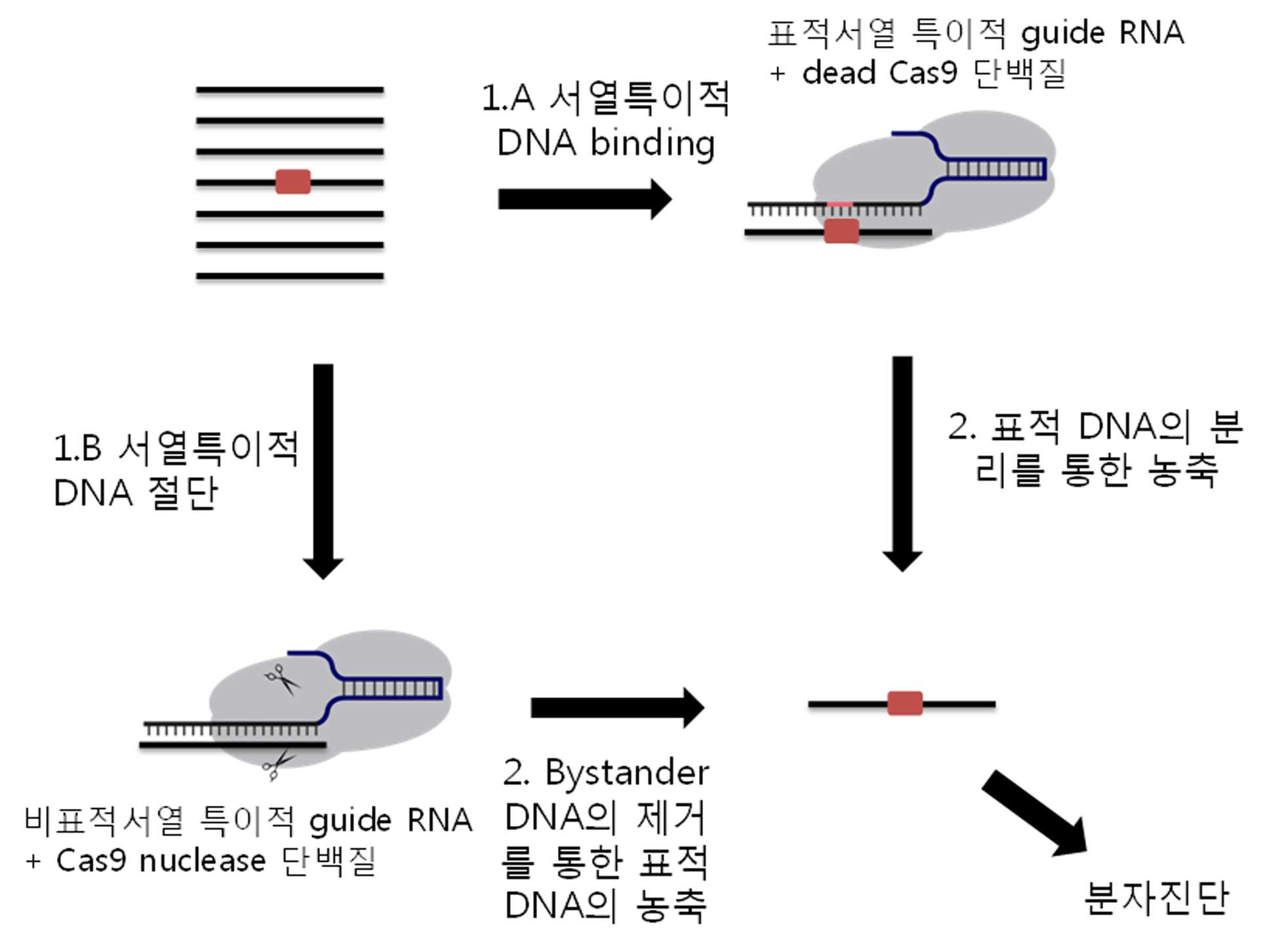 특허 도면 1