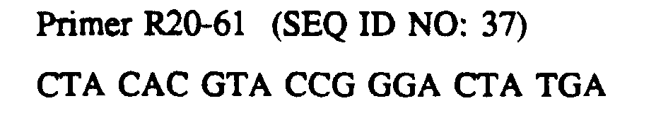 Figure 00210002