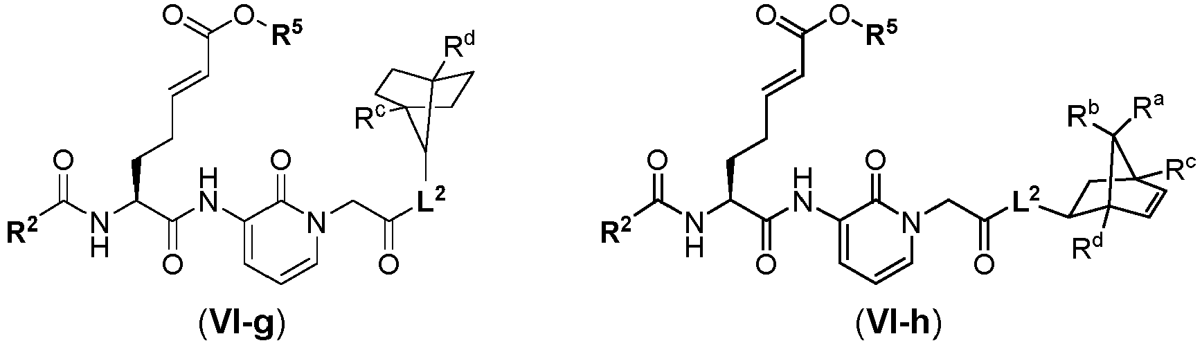 Figure imgb0305
