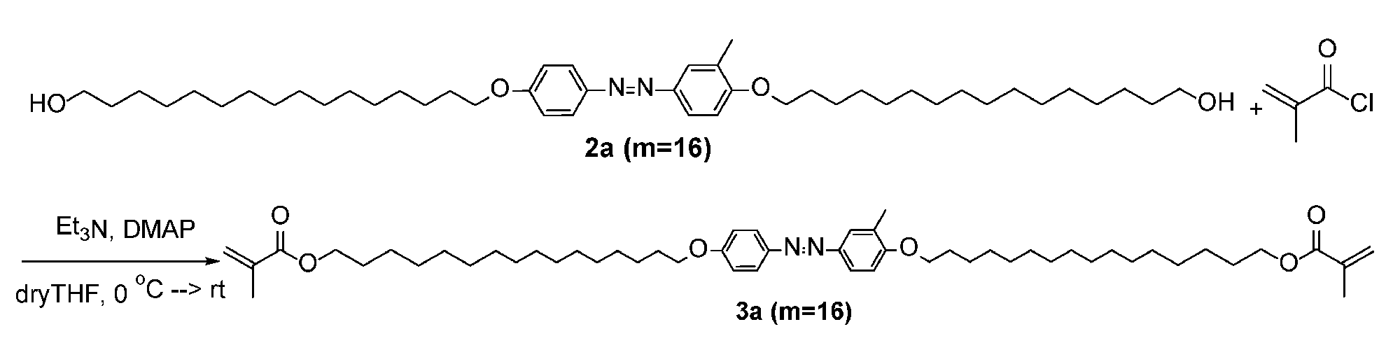 Figure JPOXMLDOC01-appb-C000031
