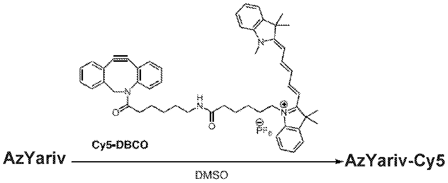 Figure imgf000061_0002