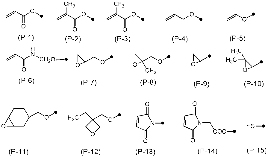 Figure JPOXMLDOC01-appb-C000030
