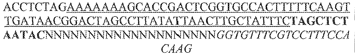 Figure imgb0058