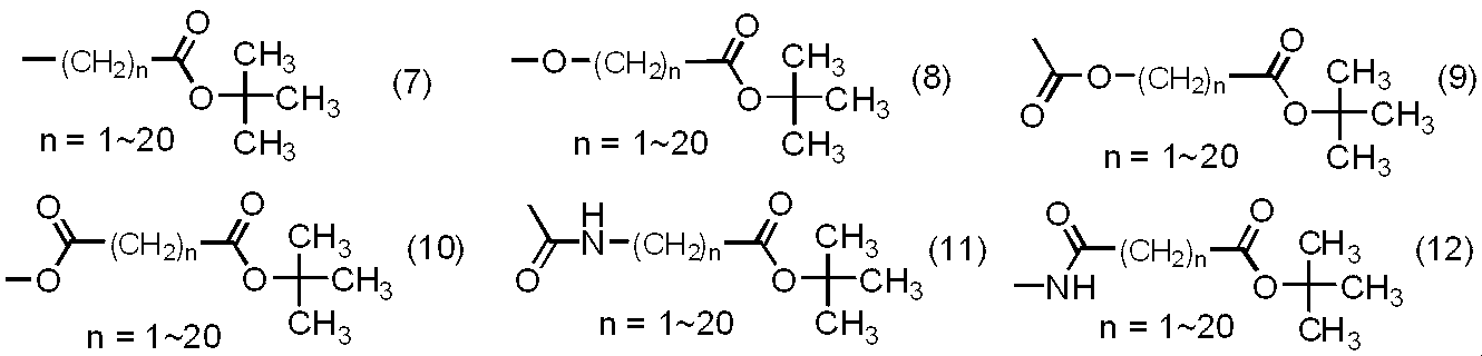 Figure JPOXMLDOC01-appb-C000021