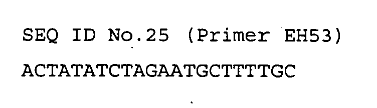 Figure 00430005