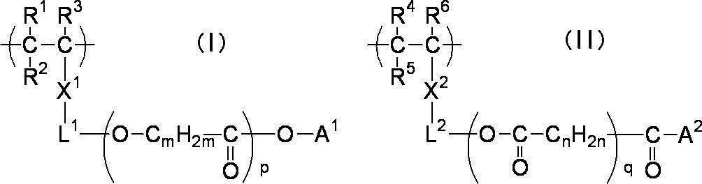 Figure JPOXMLDOC01-appb-C000013