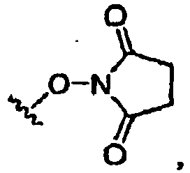 Figure imgb0536