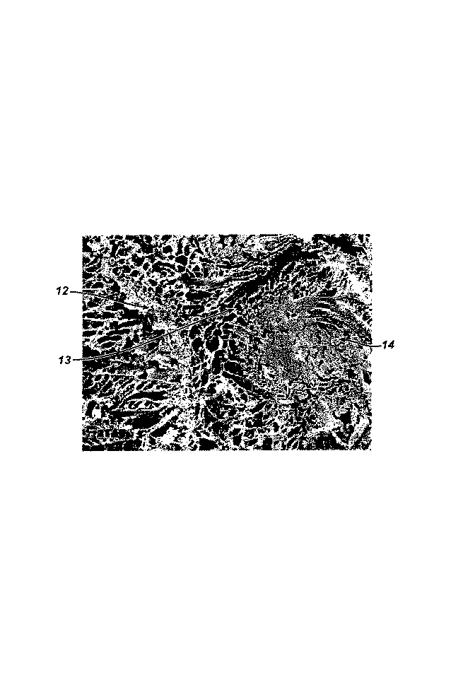 Figure 2004267777