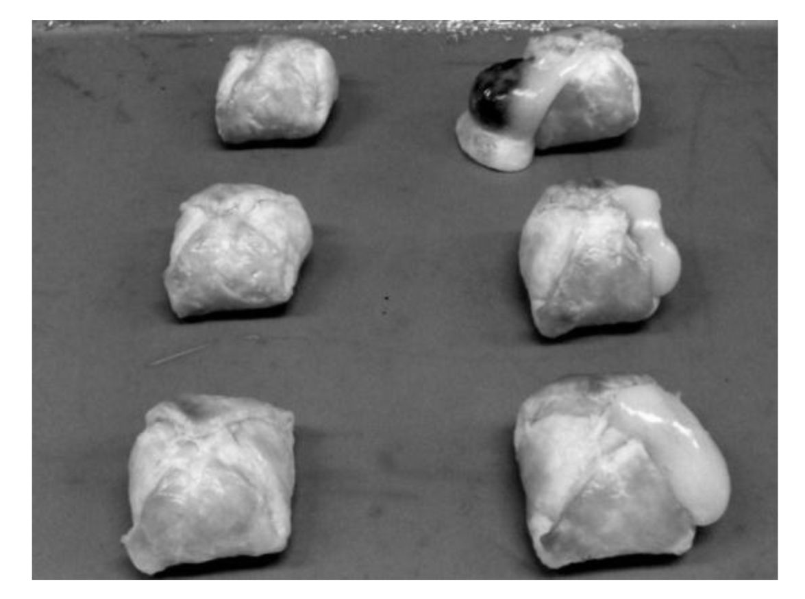 Woa1 Mochi Premix For Mochi Containing Bakery Foods And Method For Producing Mochi Containing Bakery Food Google Patents