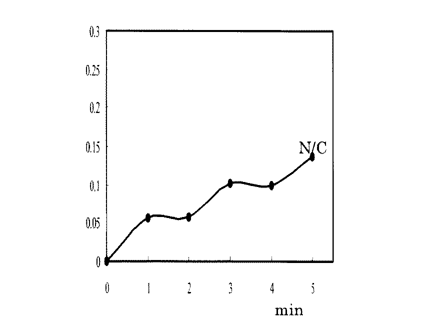 Figure 0005080701