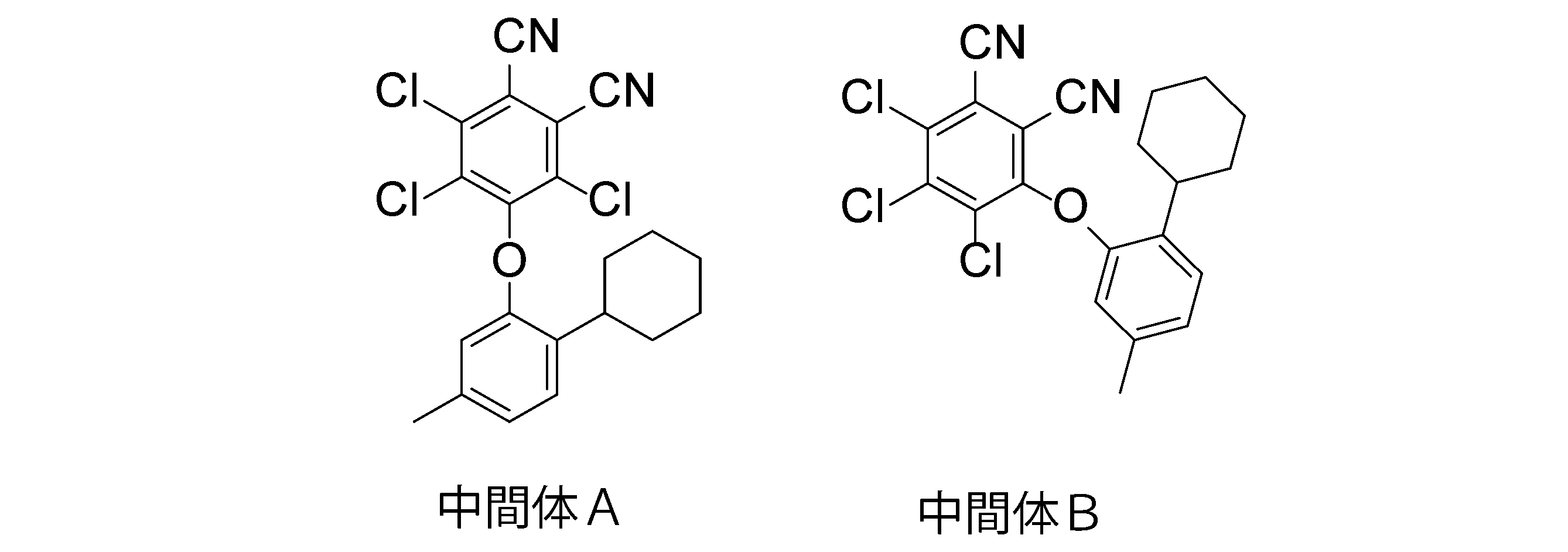 Figure JPOXMLDOC01-appb-C000033
