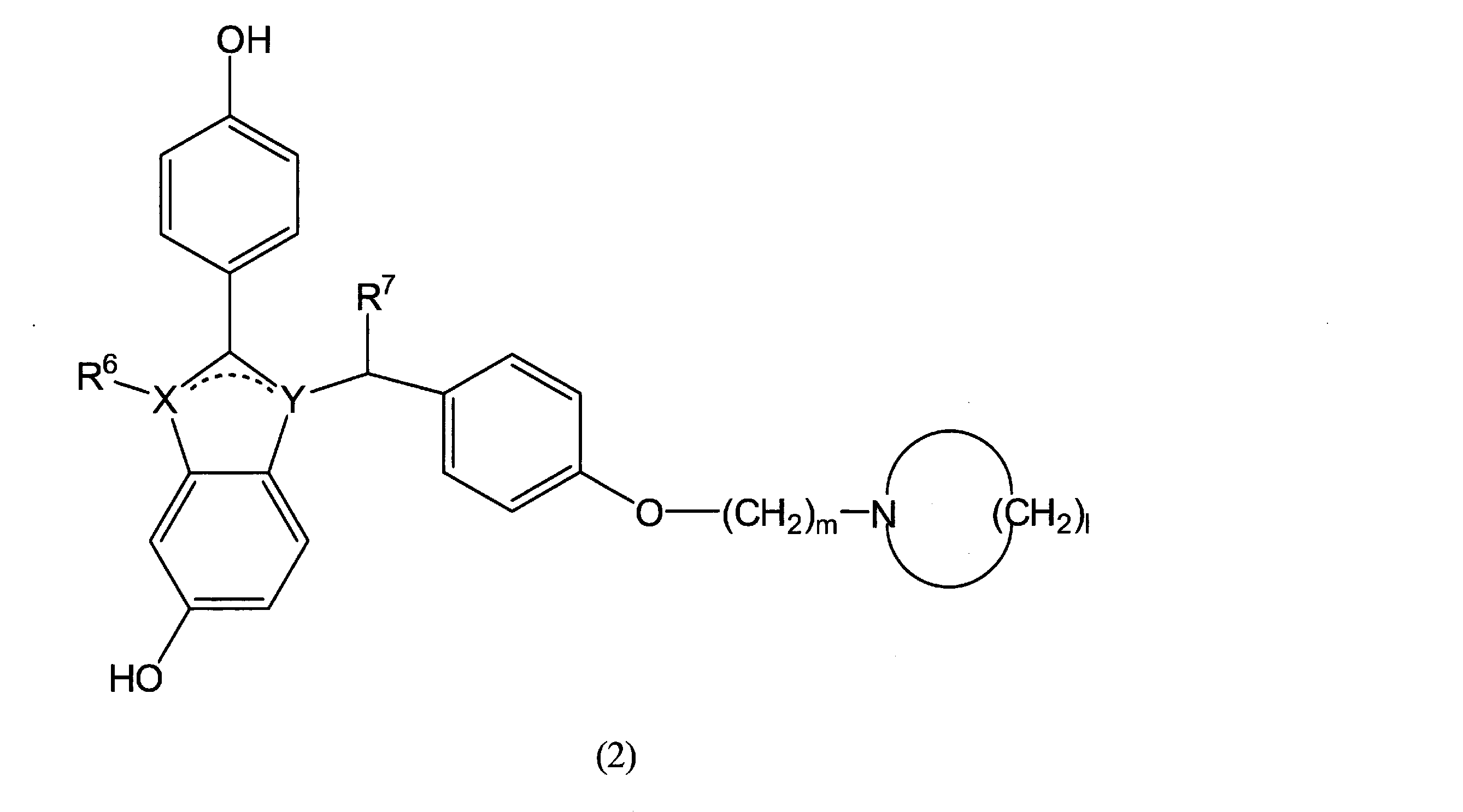 Figure JPOXMLDOC01-appb-C000024