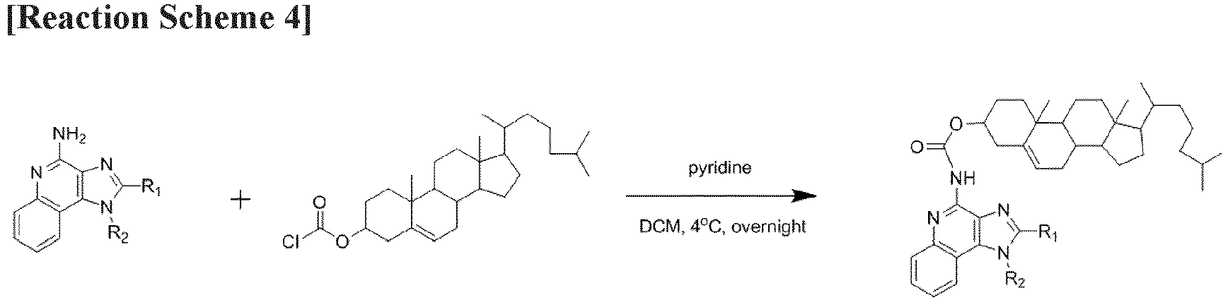 Figure imgb0004