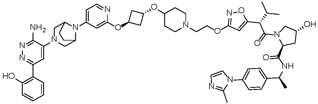 Figure imgb2171