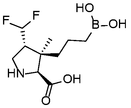 Figure imgf000224_0002