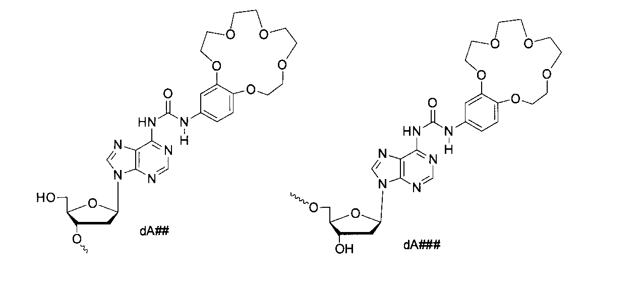 Figure JPOXMLDOC01-appb-C000035