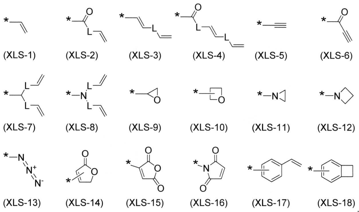 Figure JPOXMLDOC01-appb-C000048