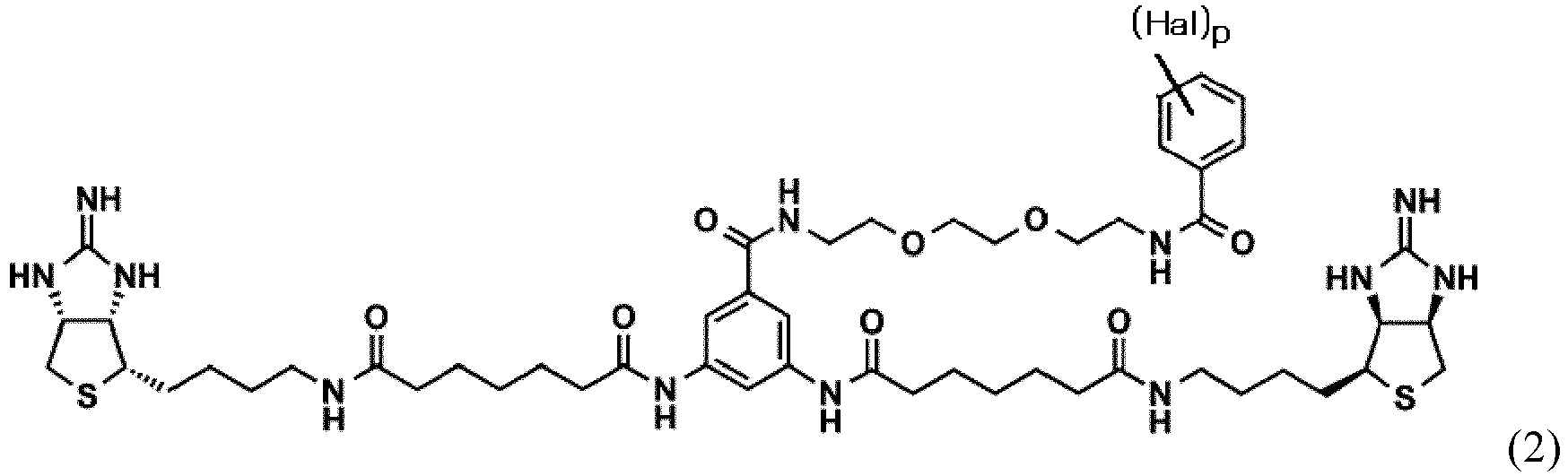 Figure imgb0010