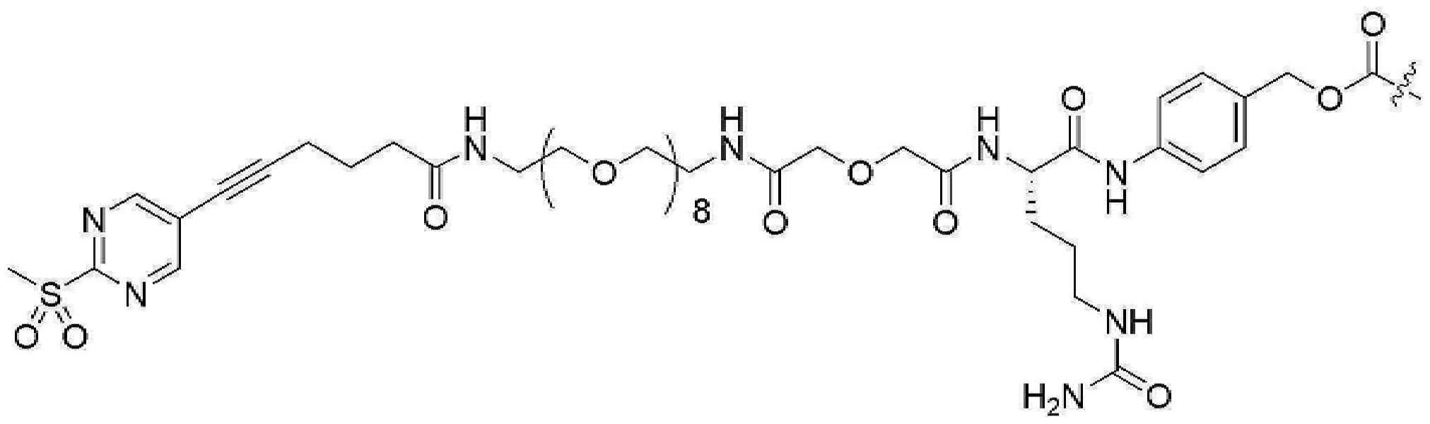 Figure pct00981