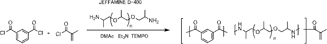 Figure JPOXMLDOC01-appb-C000013