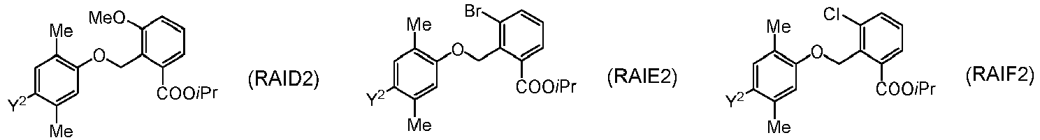 Figure imgb0448