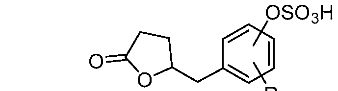 Figure imgf000024_0003