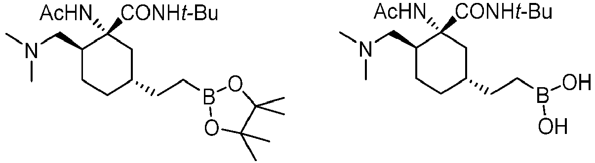 Figure imgb0307