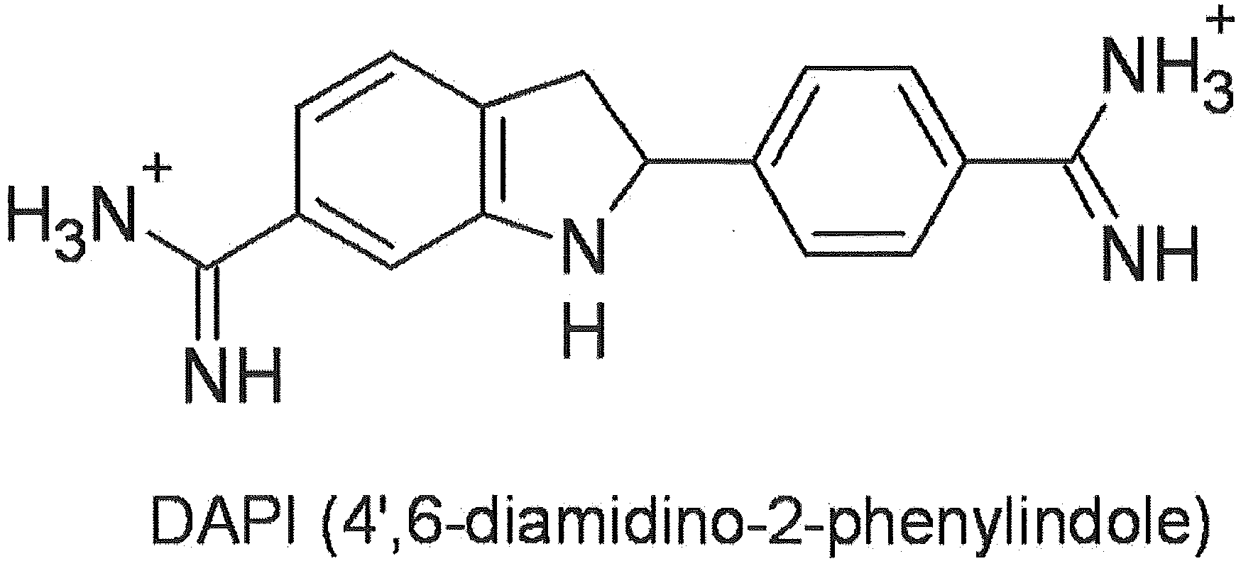 Figure imgb0001