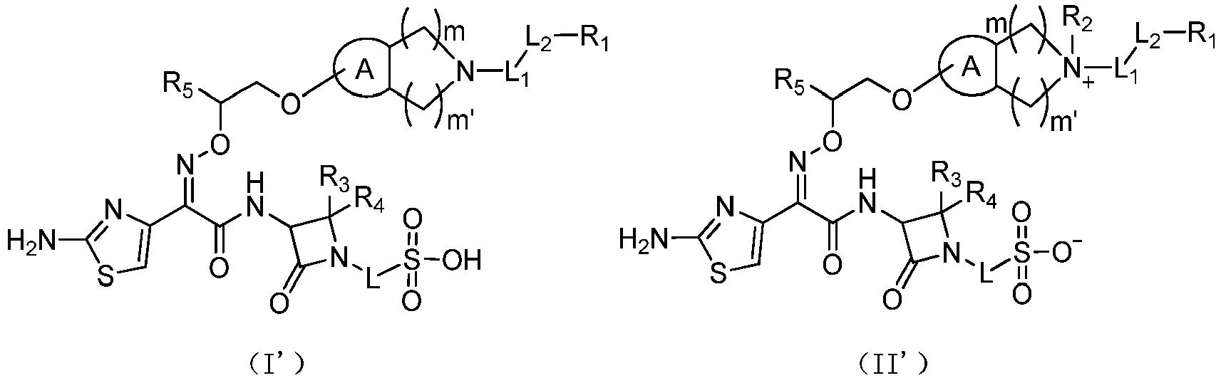 Figure imgb0179