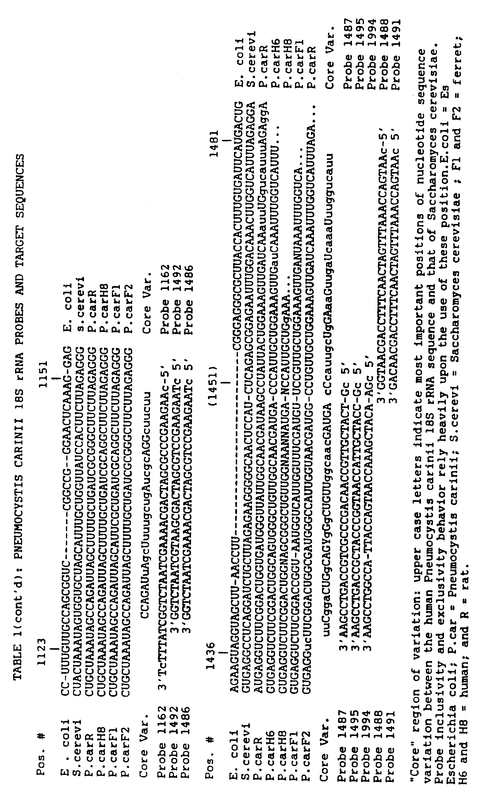 Figure imgb0003