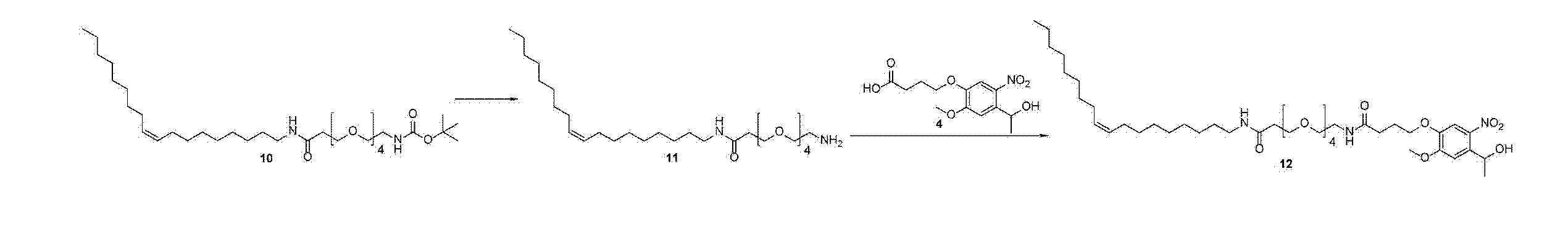 Figure JPOXMLDOC01-appb-C000014