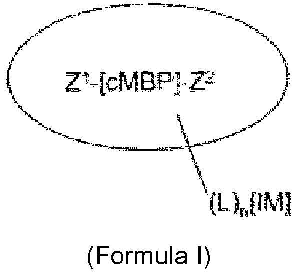 Figure imgb0050