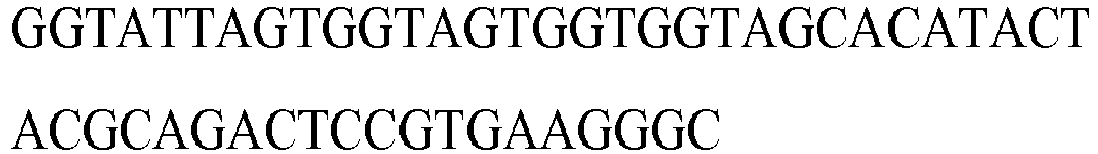 Figure imgb0175