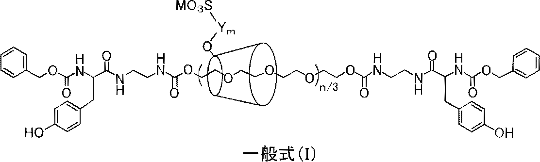 Figure JPOXMLDOC01-appb-C000004