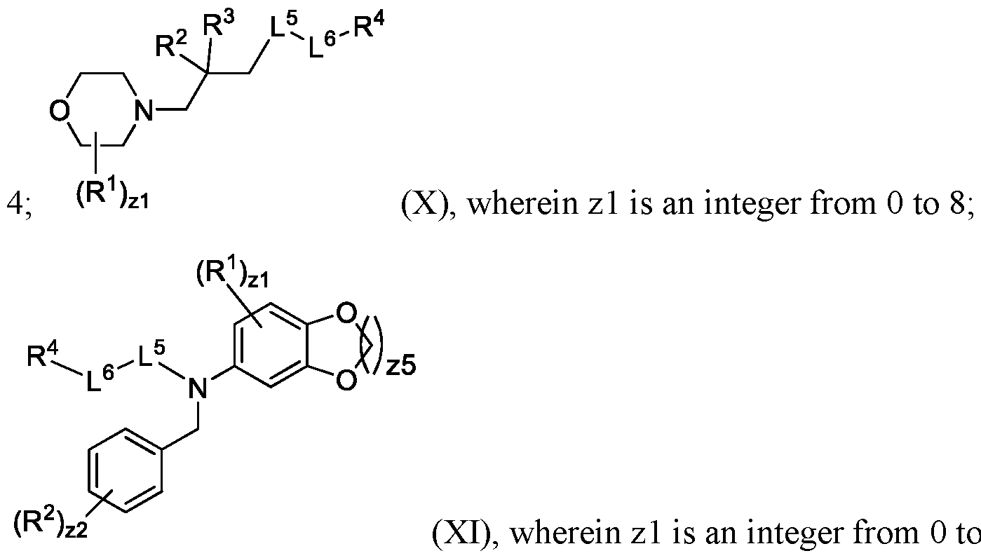 Figure imgf000005_0006